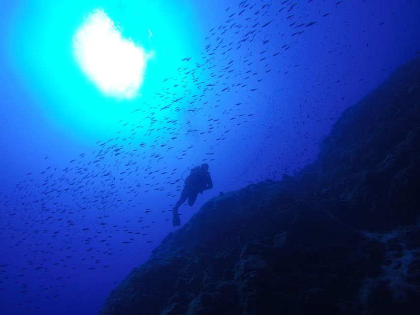 Santorini: Scuba Diving Experience for Beginners - Who should book this Santorini experience