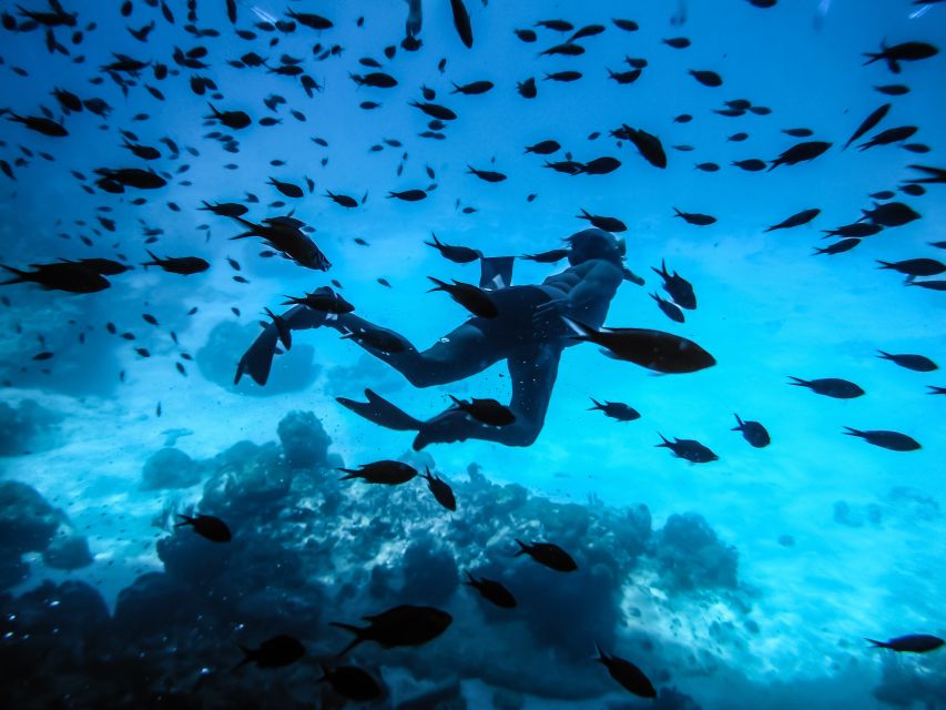 Santorini: Scuba Diving Experience for Beginners - The boat ride to Armeni Bay