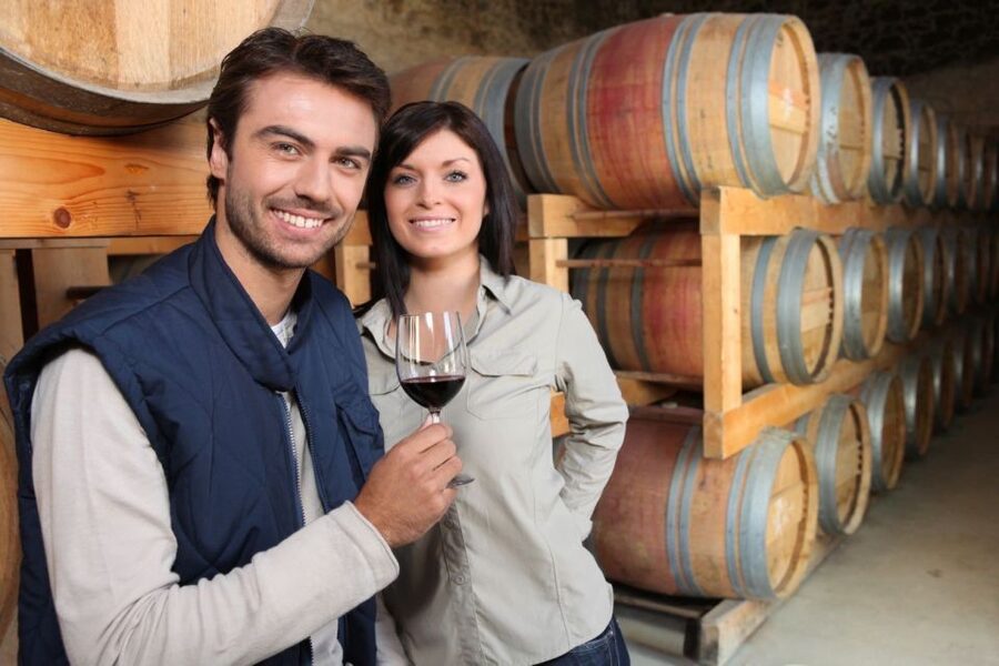 Santorini: Tour of Wineries with Wine Tasting & Food - Key points to know before booking