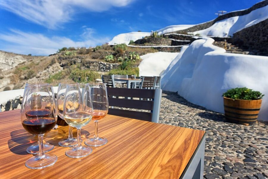 Santorini: Wine Tasting Tour to 3 Wineries with Transfer - The guide can shape the whole experience