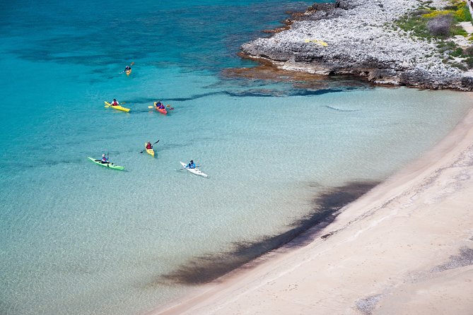 Sea Kayak in Kardamili - The guides make a practical difference