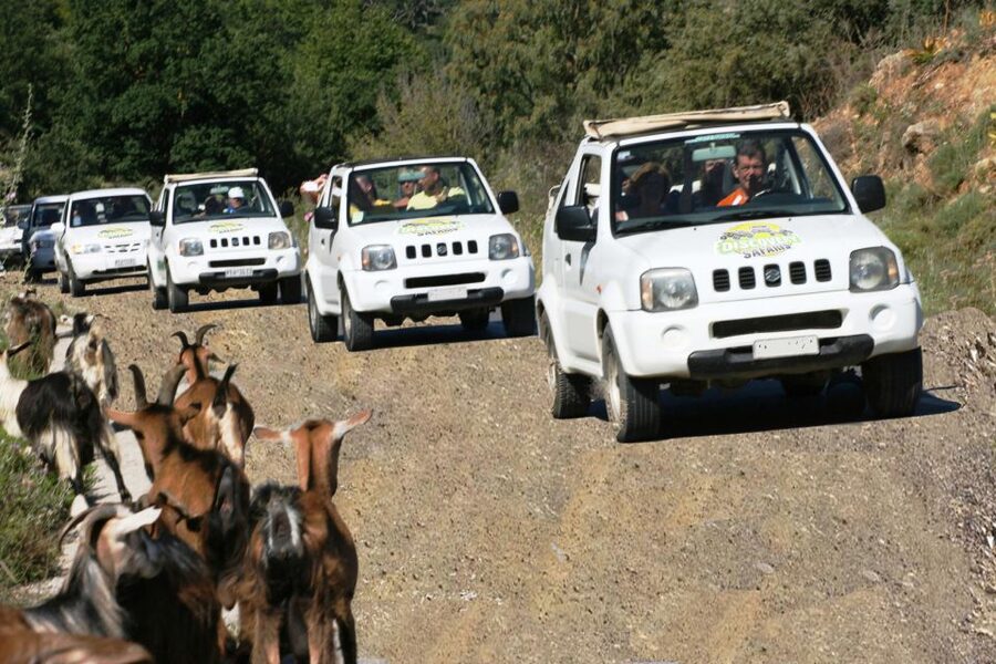 Self-Drive Jeep Safari to South Coast, Palm Beach & Canyons - Potamon Dam and the first coffee break