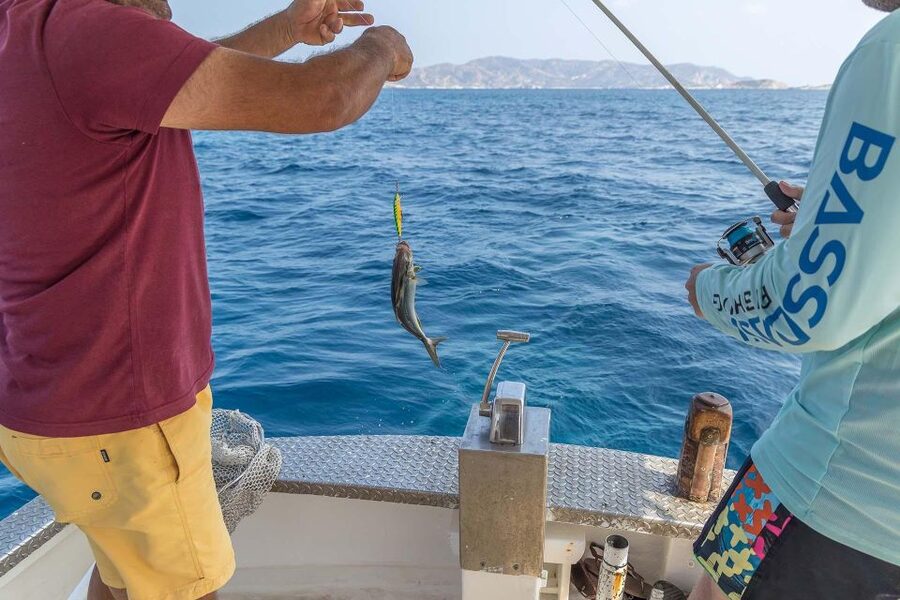 Shared Morning Cruise from Pollonia to Polyaigos - What to bring for a better morning