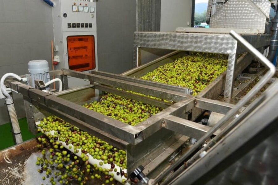 Short Tour of Olympia, an Olive Oil Press & St. Andrew Beach - Inside the family olive oil press