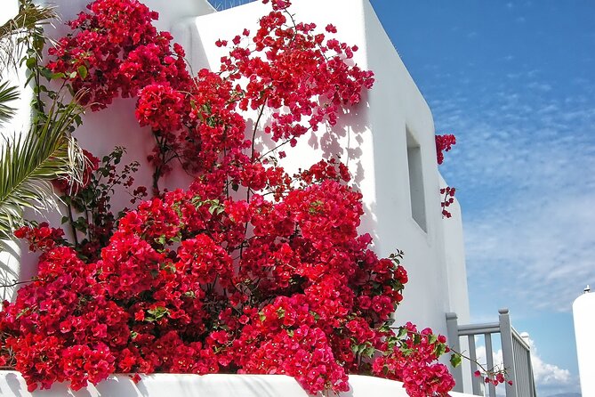 Sightseeing like a Mykonian(Small Group or Private) - Kalafatis adds a welcome change of pace
