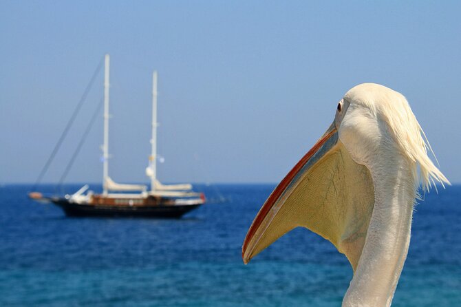 Sightseeing like a Mykonian(Small Group or Private) - Armenistis Lighthouse and the optional route