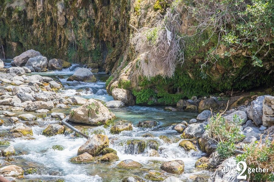 Snorkel trip to the Kourtaliotiko Waterfalls Plakias - Is $106 a fair price?