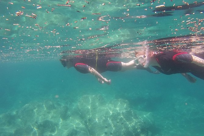 Snorkeling trip - What the guide adds to the experience