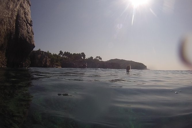 Snorkeling trip - How weather and sea life can change the route