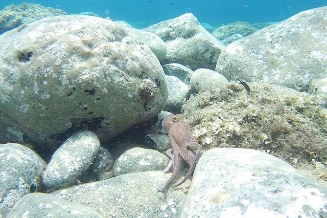 Snorkeling trip - Getting ready at Loutra Agias Paraskevis