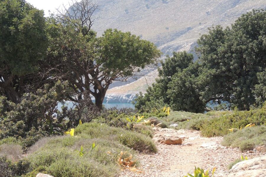 South Crete: Sarakinas Gorge Hike, Swim & Jeep Safari - Kritsa, where the day begins with narrow lanes