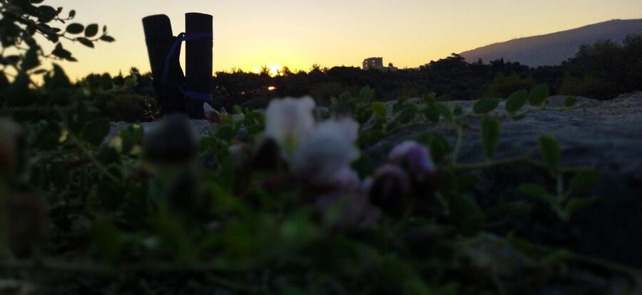 Sunrise Yoga & Meditation Acropolis & 360 view - George’s teaching style is the heart of the session