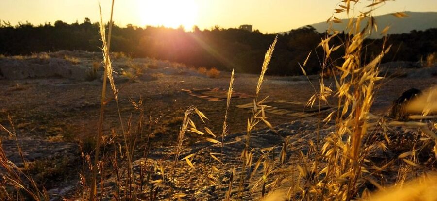 Sunrise Yoga & Meditation Acropolis & 360 view - Sunrise or sunset: choose the mood you want