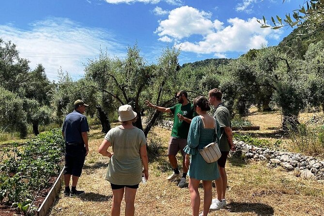 The Olive Oil Experience @ Lefkada Micro Farm - A serious issue to consider before booking
