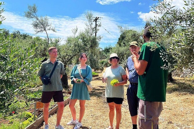 The Olive Oil Experience @ Lefkada Micro Farm - From grove to bottle: what makes the oil different