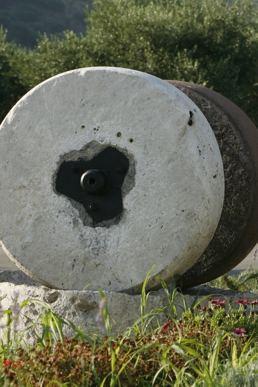 The Terra Creta Olive Oil Experience Tour - Why the guides matter