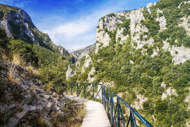 Thessaloniki: Bus Trip to Dion & Mt Olympus National Park - How much walking should you expect?