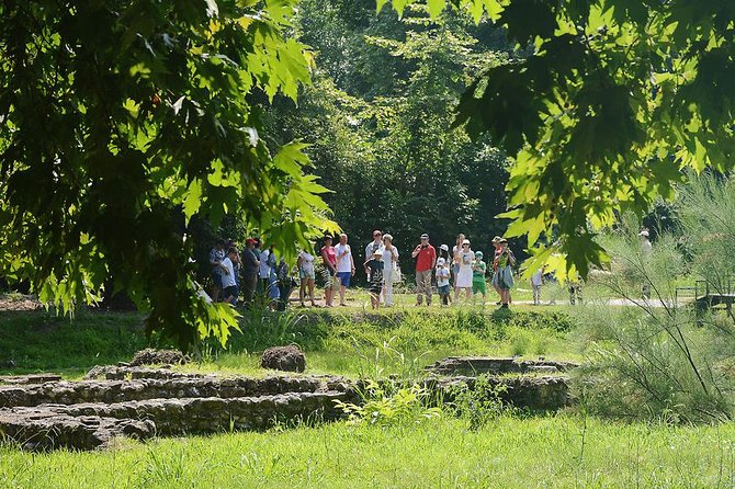 Thessaloniki: Bus Trip to Dion & Mt Olympus National Park - Bus comfort, group size, and useful planning details