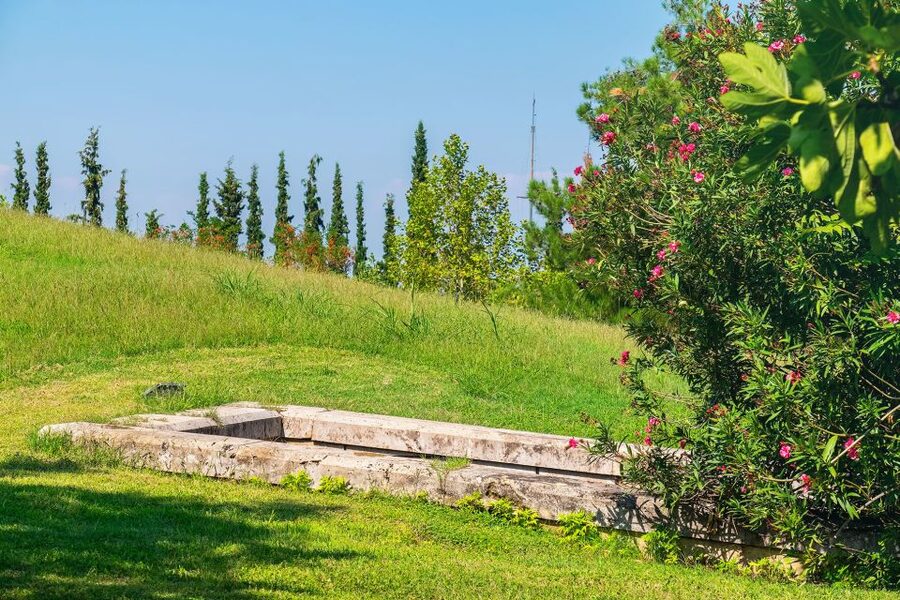 Thessaloniki: Vergina and Pella Day Trip - Pella’s ancient market and its famous mosaics