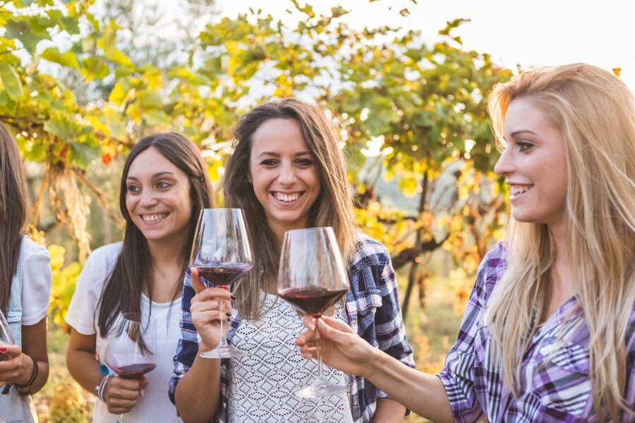 Vineyard Sips: Family Winery Tour & Gourmet Tasting in Corfu - Booking, timing, and flexibility