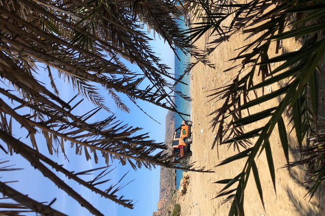 VIP Luxury Private Tour - Full Day - 4x4 Excursion with LandRover - Azorias and a 3,250-year-old olive tree
