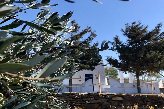 Wine Tasting and Tour in Saint Anna Winery in Naxos - Points to weigh before you reserve