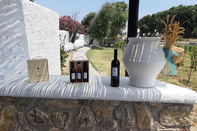Wine Tasting Tour at a traditional farm in Mykonos - The farm visit and the first glass