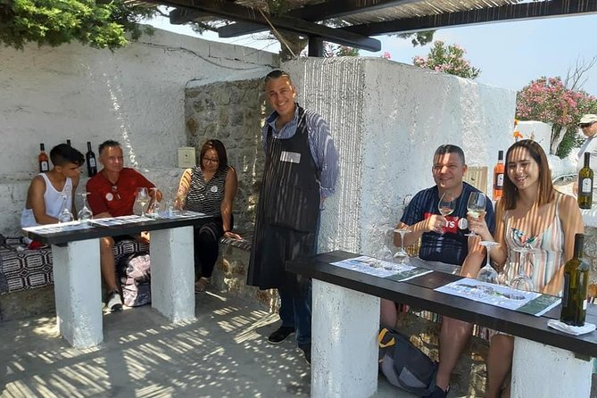Wine Tasting Tour at a traditional farm in Mykonos - Local snacks are enough for a tasting, not dinner