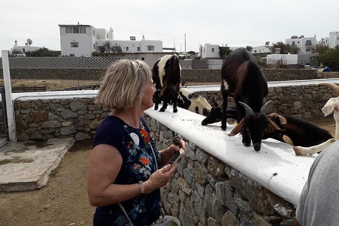 Wine Tasting Tour at a traditional farm in Mykonos - How the timing works for a Mykonos day
