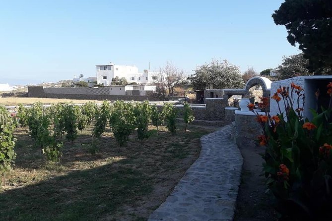 Wine Tasting Tour at a traditional farm in Mykonos - The honest drawbacks to consider