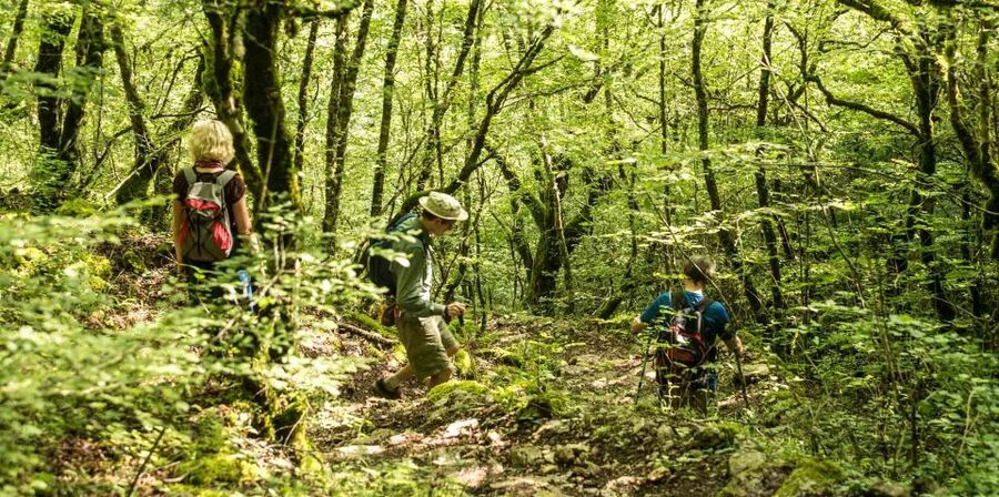 Zagori: Vikos Gorge full-day guided hike - What to pack for the gorge