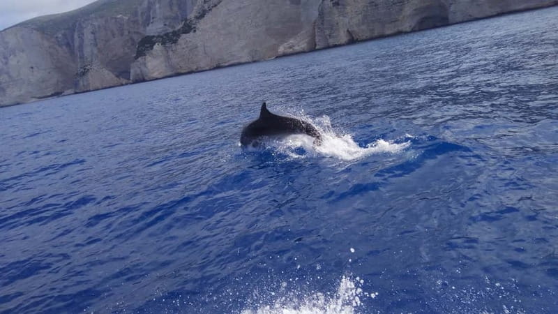 Zakynthos: Shipwreck Beach, Viewpoint, Blue Caves Day Tour - Xigia Beach is a quick sulfur-water stop