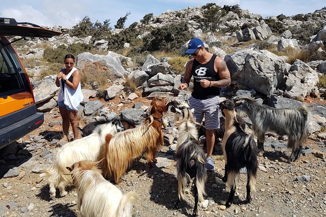 Zeus Cave, Lassithi Plateau, Olive Oil Factory, Kritza, Pottery - Lunch at a Cretan taverna